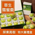 【一籃子】LV等級的 屏東高樹【草生雪蜜棗】特大菓禮盒