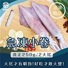 【新港社合 X 一把青】澎湖直送 野生小卷250g 3包組 (漁民直營 產銷共贏 大尾才有嚼勁)