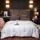 澳洲Simple Living 雙蛋白天蠶絲發熱被加重版3.5kg-雙人