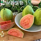 【永齡選物】紅心芭樂1.5kg(約5入/盒)
