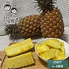 預購【仁愛農園】100%台南關廟產地直送-金鑽鳳梨20台斤(6~8顆)