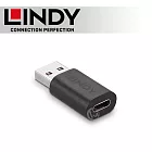 LINDY 林帝 USB 3.2 Gen2 Type-A/公 to Type-C/母 轉接頭 (41904)