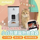 【視訊版】dudupet 小白智慧寵物餵食器 4L 自動餵食器 寵物餵食器 智能餵食 定時定量 飼料機
