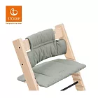 Stokke 挪威 Tripp Trapp 成長椅經典座墊 - 冰川綠