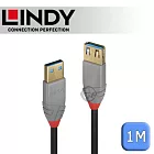 LINDY 林帝 ANTHRA USB3.0 Type-A 公 to A母 延長線 1m (36761)