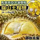 【阿成水果】馬來西亞冷凍帶殼貓山王榴槤(1粒/1.6kg/盒)