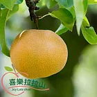 【喜樂拉拉山】蜂蜜梨(6入/1800g) x2盒