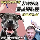 【爽成仙】人寵靈魂提取按摩器