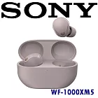 SONY WF-1000XM5 【加送充電盒果凍套】AI智能高性能處理器 IPX4 真無線降噪耳機 快充無線充電 2色 公司貨保固12+6個月 玫瑰灰 玫瑰灰