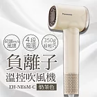 【國際牌Panasonic】高速負離子溫控吹風機 EH-NE6M 奶茶色