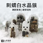 【上手家居】刺蝟白水晶簇-5cm(淨化水晶/消磁水晶/消磁石/水晶擺件/風水擺件) 刺蝟4-5cm