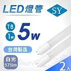 SY聲億科技 1尺T8 5W白光6500K 每瓦/115流明高光效廣角燈管   1尺白光2入組
