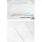 [韓國 Habby&Deco] 極致酷涼SuperCool抗菌涼感枕墊