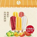 【春一枝】水果冰棒買10送4枝mini冰棒（檸檬*2+椪柑*2+洛神*2+海鹽西瓜*2+愛文芒果*2+mini隨機口味冰棒*4）