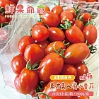 【鮮果爺爺】苗栗壢西坪東方美人蜜小番茄3斤x2箱(內含3小盒/箱，600g/盒)