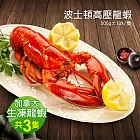 【優鮮配】加拿大直送-波士頓高壓龍蝦3隻(500g±10%/隻)免運組
