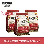 Now! 中型成犬牛肉配方 300克 三件組 高湯天然糧 | 乾濕兩吃 火雞高湯 中型犬 犬糧 狗糧 WDJ