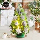 摩達客-台灣製1尺30cm精緻綠色聖誕+聖誕花雪片銀白系裝飾品組_免組裝+20燈LED銅線燈串暖白光-USB電池盒兩用