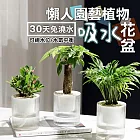 智能USB防水自行車燈組 前燈+白色車尾燈