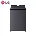 LG樂金16公斤AIDD蒸氣直驅變頻直立式洗衣機WT-TD16HG(夜墨灰)