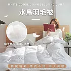 【AGAPE雅家倍】台灣製100%天然水鳥羽毛被 雙人6x7尺