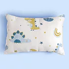 《Embrace英柏絲》 100%天絲x純棉 加大兒童水洗枕38x55cm 3D透氣枕芯 幼稚園午睡枕 告別滿頭汗 布套可拆洗 媽媽社團推薦 單入-小小恐龍-大童枕