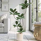 【Floral M】吉祥如意居家大葉榕1.8公尺室內大型仿真植栽（贈送花盆）