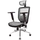 GXG 高背全網 電腦椅 (鋁腳/升降扶手) TW-81X6 LUA5