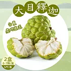 【禾鴻】台東優質大目釋迦5斤x2盒(6-7顆/盒_小果) 下單7個工作天出貨