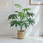 【Floral M】居家能量滿滿旺宅木瓜葉仿真植栽