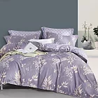 《DUYAN 竹漾》台灣製 奧地利天絲單人床包被套三件組 / 疏語岑光