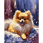 ArtLife藝術生活【TW076】萌系列_博美_DIY 數字 油畫 彩繪