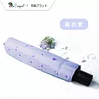 【雙龍牌】STAR降溫13度黑膠自動開收傘(星星防風自動傘防曬抗UV雨傘陽傘摺疊傘自動折傘B6290NJ2) 薰衣紫