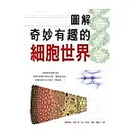 圖解奇妙有趣的細胞世界