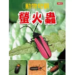 動物奇觀：螢火蟲