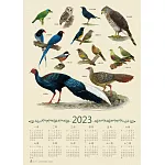 台灣特有鳥類手繪年曆海報