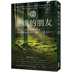 靈魂的朋友：古老的凱爾特智慧，不可思議的療癒人類、靈魂、自然與世界