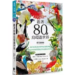 跟著80種鳥環遊世界：從印度栗鳶到智利安地斯神鷹，探索不同地理環境中的鳥類自然生態