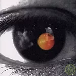 陶吉吉 / 黑色柳丁