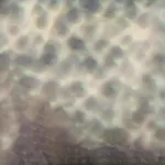 卡洛斯‧西帕 / OURSELVES, AS WE ARE