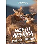 北美大地：無限生命 (藍光BD)