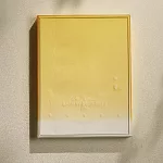 蔡健雅 / Let’s Depart! 給世界最悠長的吻 演唱會實錄 (限量精裝鏡面USB)