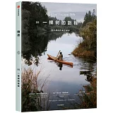 物外.05：一棵樹的旅程