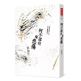 何不認真來悲傷