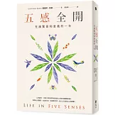 五感全開：充滿驚喜和意義的一年