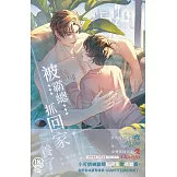 被霸總抓回家養了