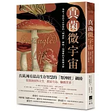 真菌微宇宙：地球上最高生存智慧的「類神經」網絡，最優雅的生態鍊金師