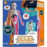 3D 夜光人體模型探索組