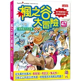 楓之谷大冒險47：闇黑龍王的反擊