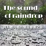 與人體共鳴的聲音療癒之旅 OCT 白噪音 The sound of raindrop (有聲書)